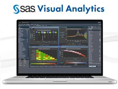 SAS Visual Analytics