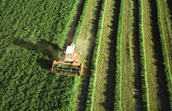 agricultura