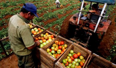 agricultura