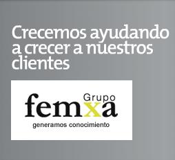 Grupo Femxa